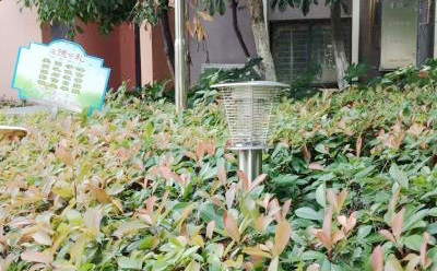 MZ05醫(yī)院戶(hù)外滅蚊燈 MZ05醫(yī)院戶(hù)外滅蚊燈