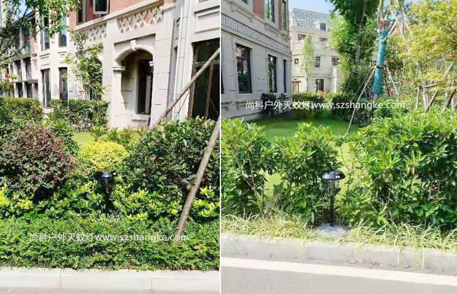 太陽能滅蚊燈用于社區(qū)滅蚊防蚊 太陽能滅蚊燈用于社區(qū)滅蚊防蚊