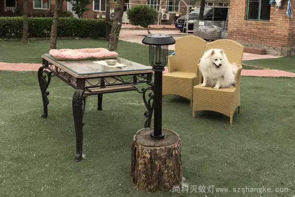 太陽能戶外滅蚊燈別墅庭院使用效果 太陽能戶外滅蚊燈別墅庭院使用效果