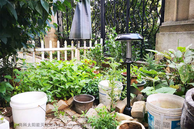 戶(hù)外滅蚊親測(cè)：滅蚊燈效果怎么樣？到底有用嗎