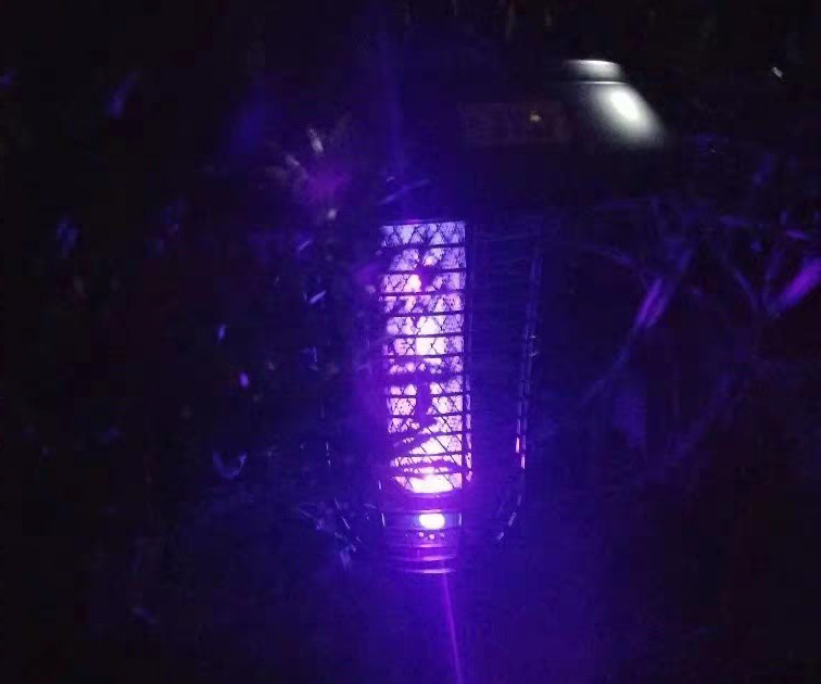 滅蚊燈效果，夜晚亮紫光的戶外滅蚊燈