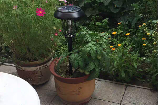 一盞花園滅蚊燈可以呵護(hù)整個庭院 一盞花園滅蚊燈可以呵護(hù)整個庭院
